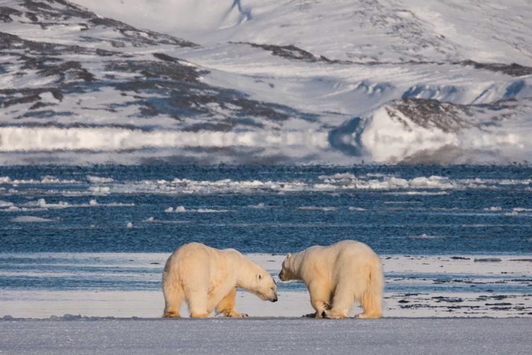 Entdecken Sie den Frühling im arktischen Spitzbergen mit Lindblad Expeditions